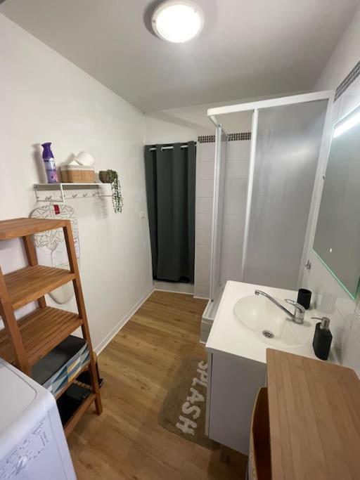 Studio Centre Ville La Rochelle  Eksteriør billede
